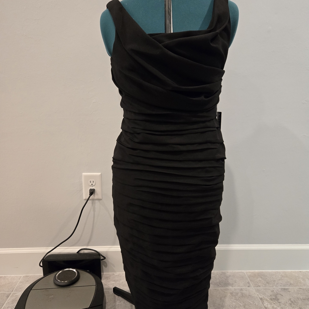 NWT Express Elegant Black Ruched Dress